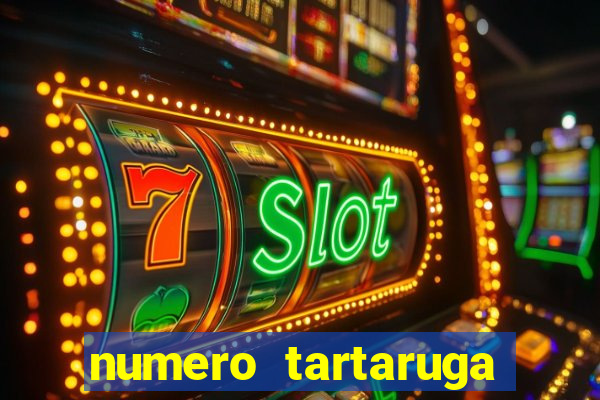 numero tartaruga jogo do bicho